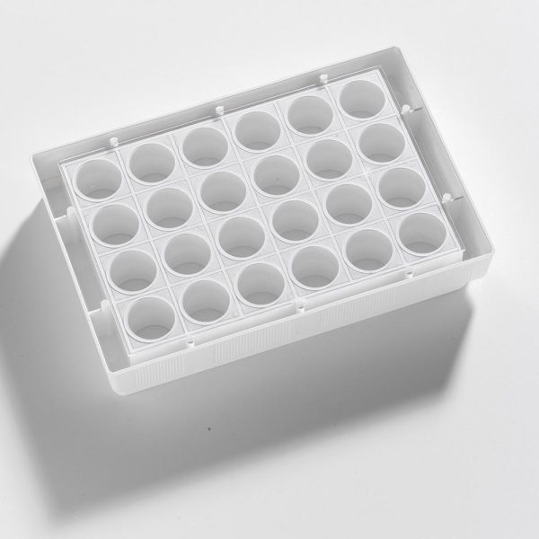 24 Well clear bottom PS microplate White  F bottom assay plate - Image 2