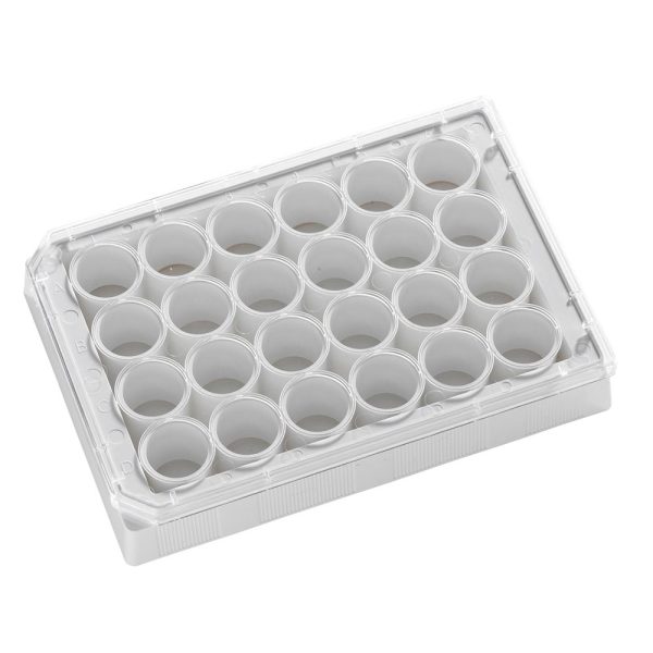 24 Well White glass bottom assay plate With Lid - Image 5