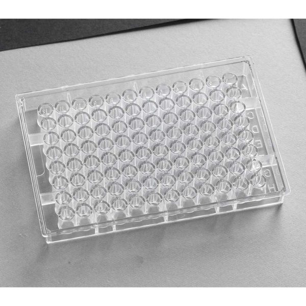 96 round 350 µl Well Polystyrene, Clear,  F Bottom - Image 2