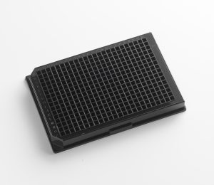 312001 - scaled.jpg