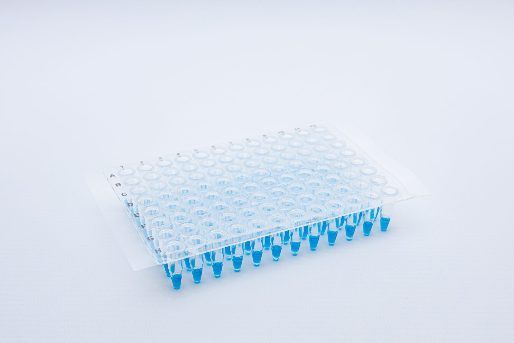 Adhesive Seal PCR Lab Sheet Porvair Sciences