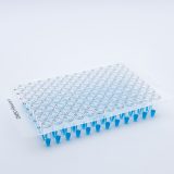 Adhesive Seal DMSO X Film
