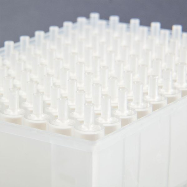 Microlute CSi SCX Plate 10mg Close Up