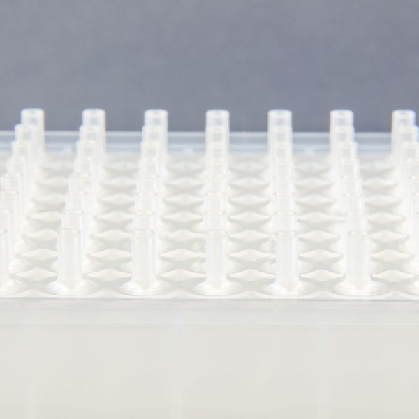Microlute® CSi SCX Plate - 2mg, 10mg - Image 7