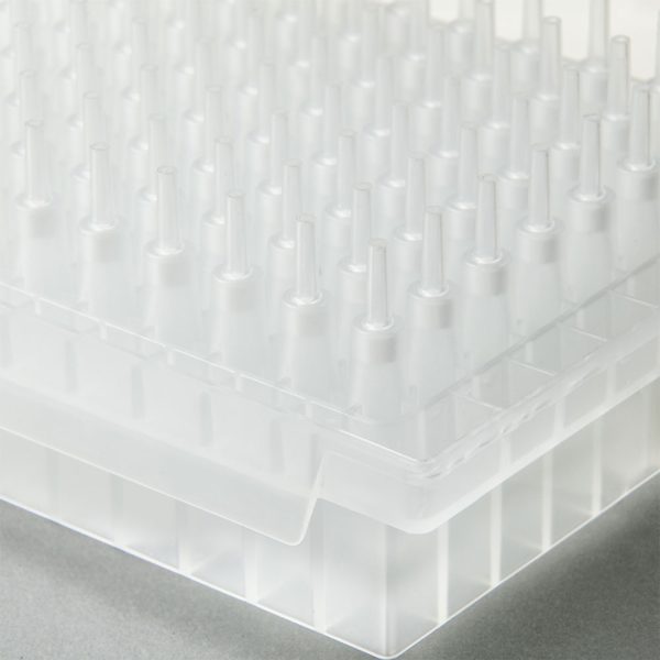 Microlute CSi SCX Plate 2mg Close Up