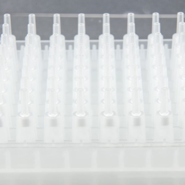 Microlute CSi SCX Plate 2mg Close Up Front Facing