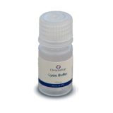 Lysis Buffer for Enzymatic